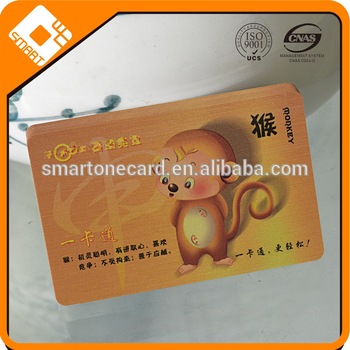 12 Zodiac New PVC Magnetic Card Design with Magnetic Strip